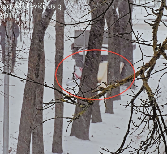 Šiaulių miesto savivaldybė skelbia 2026 m. sausio mėnesio netvarkingiausias komunalinių atliekų konteinerių aikšteles