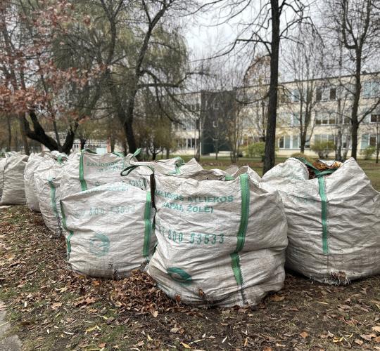 Šiaulių mieste žaliųjų atliekų surinkimo priemonės (konteineriai ir didmaišiai) bus tuštinamos pagal grafiką iki šių metų gruodžio mėn. vidurio