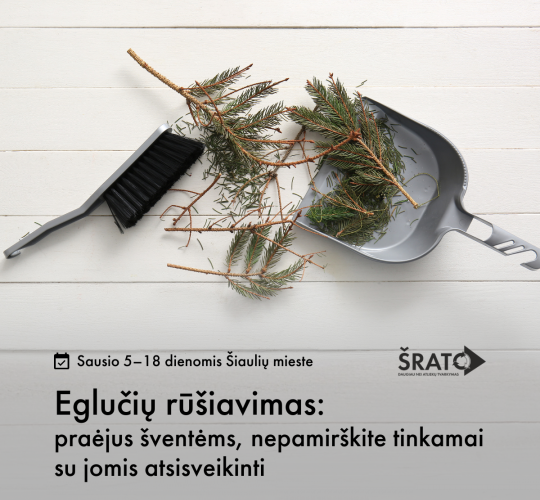 Eglučių rūšiavimas: praėjus šventėms, nepamirškite tinkamai su jomis atsisveikinti