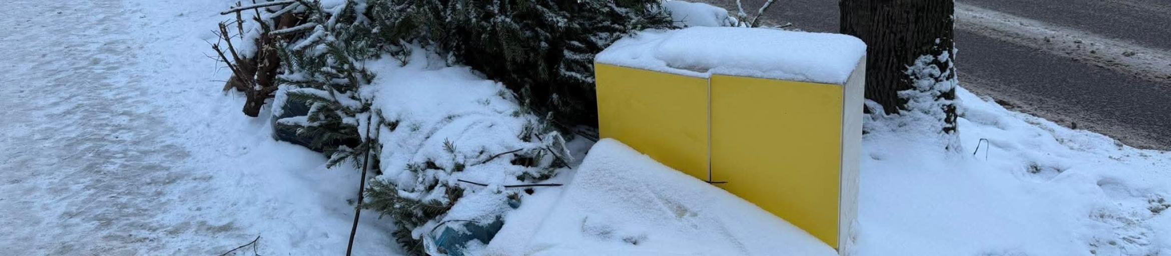 Nepalikite eglučių prie konteinerių – jos surenkamos specialiose vietose