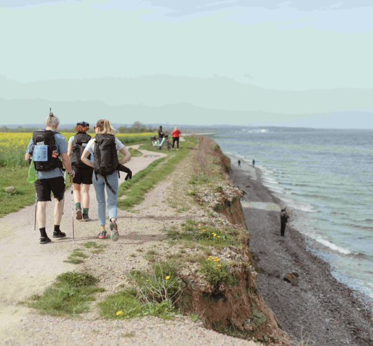 Raginimas imtis veiksmų dėl eutrofikacijos mažinimo Baltijos jūroje