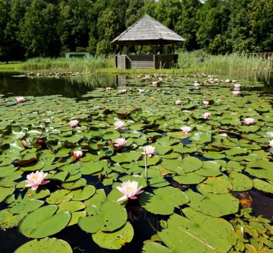 Iškeisk miestą į mišką: miškininkai kviečia atrasti daugiau nei 1000 rekreacinių objektų 