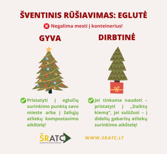 Šventinis rūšiavimas: eglutė