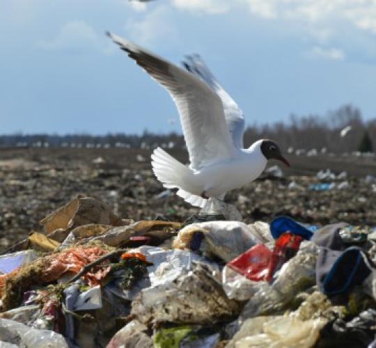 Europos Sąjunga siekia ambicingų atliekų mažinimo ir perdirbimo tikslų