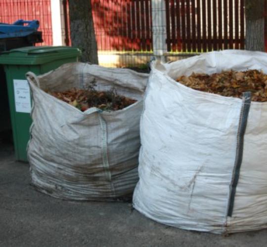 Tvarkome ir rūšiuojame atliekas: nuo sugrėbtų lapų iki naudotų padangų 